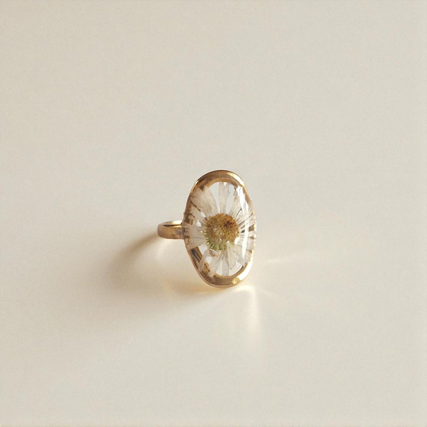 echtes Gänseblümchen❤︎ Ring