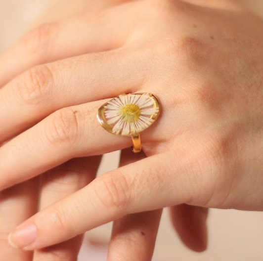 echtes Gänseblümchen❤︎ Ring