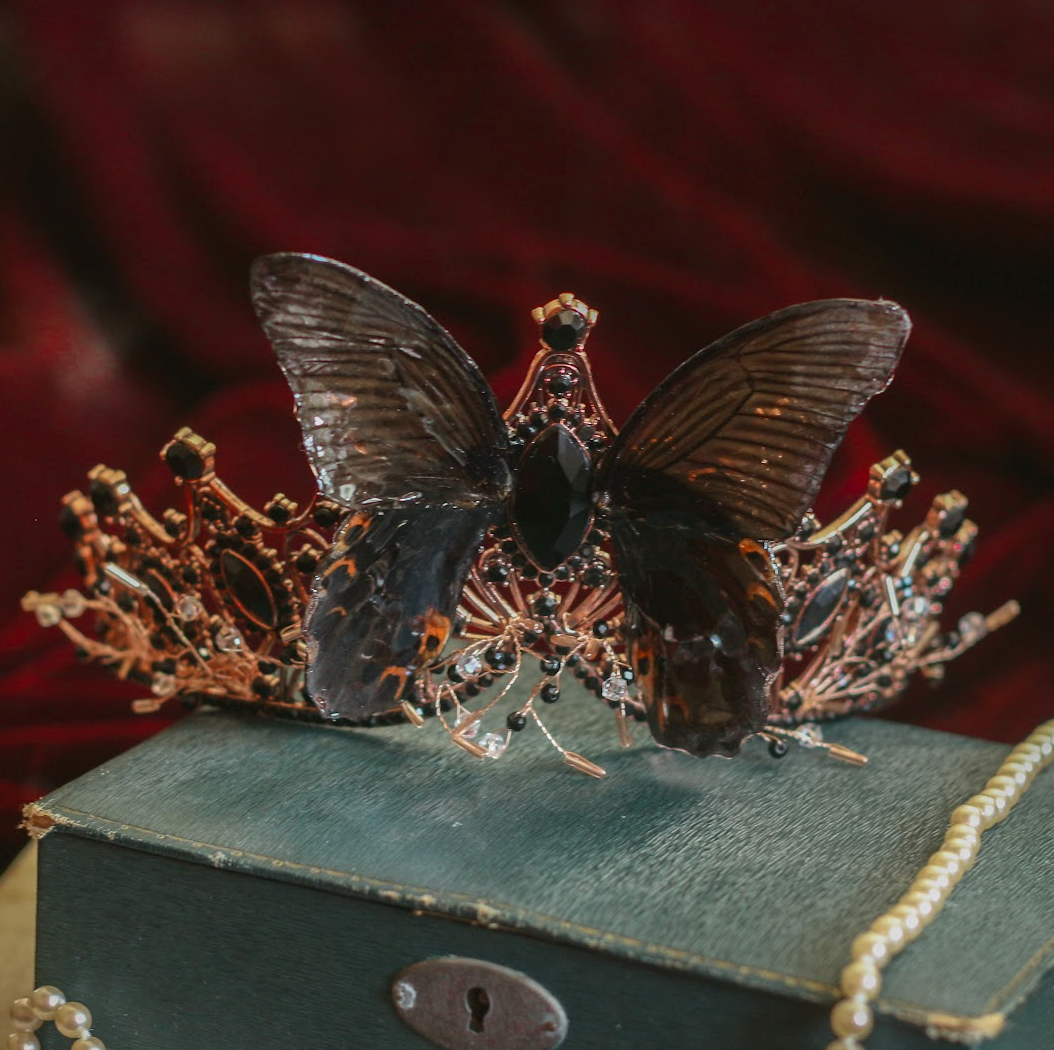 Echter Ritterfalter Papilio Maacki Schmetterling ❤︎ Tiara