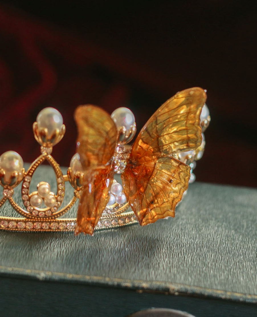 Echter feuriger Perlmutter Schmetterling ❤︎ Tiara