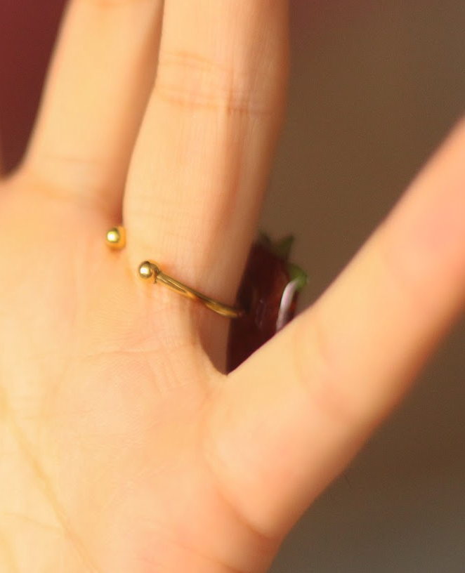 echte Erdbeere Ring ❤︎ grössenverstellbar