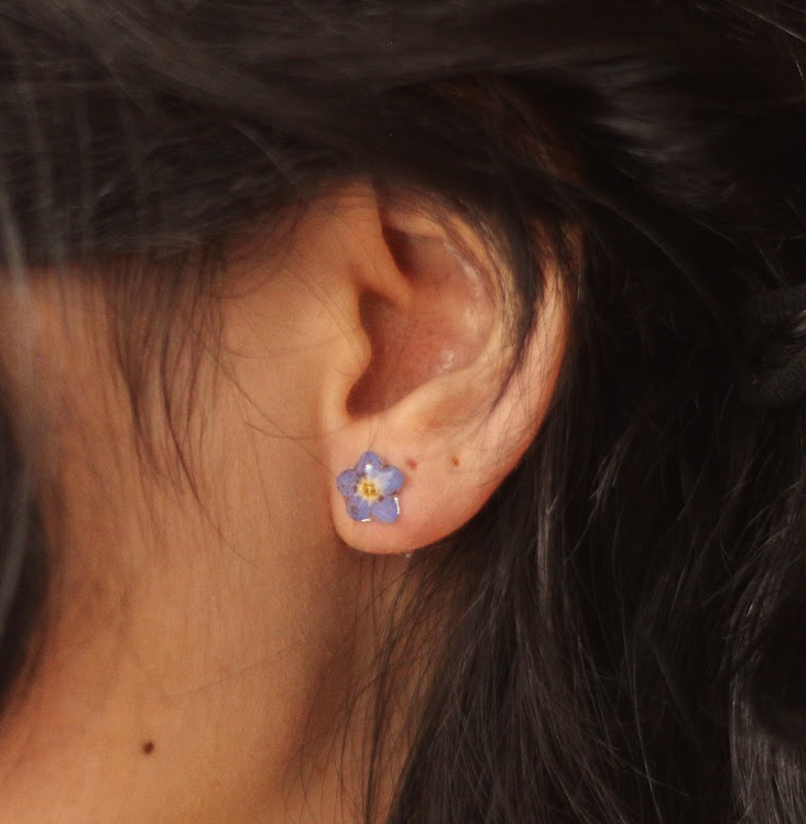 echte Vergiss-mein-nicht- Blüten ❤︎ Stecker Ohrringe