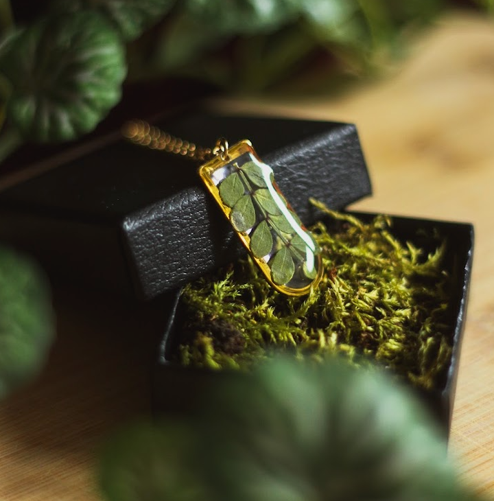 echtes Farn & Gräser❤︎ Halskette