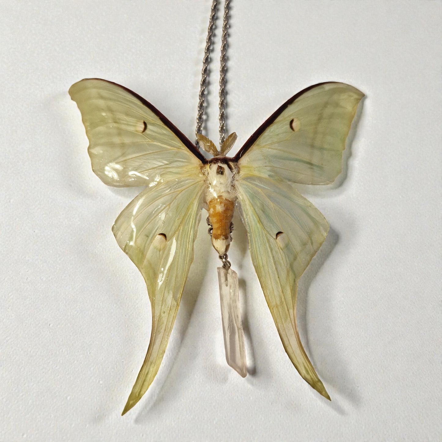 echte Lunarmotte mit Bergkristall❤︎ Halskette