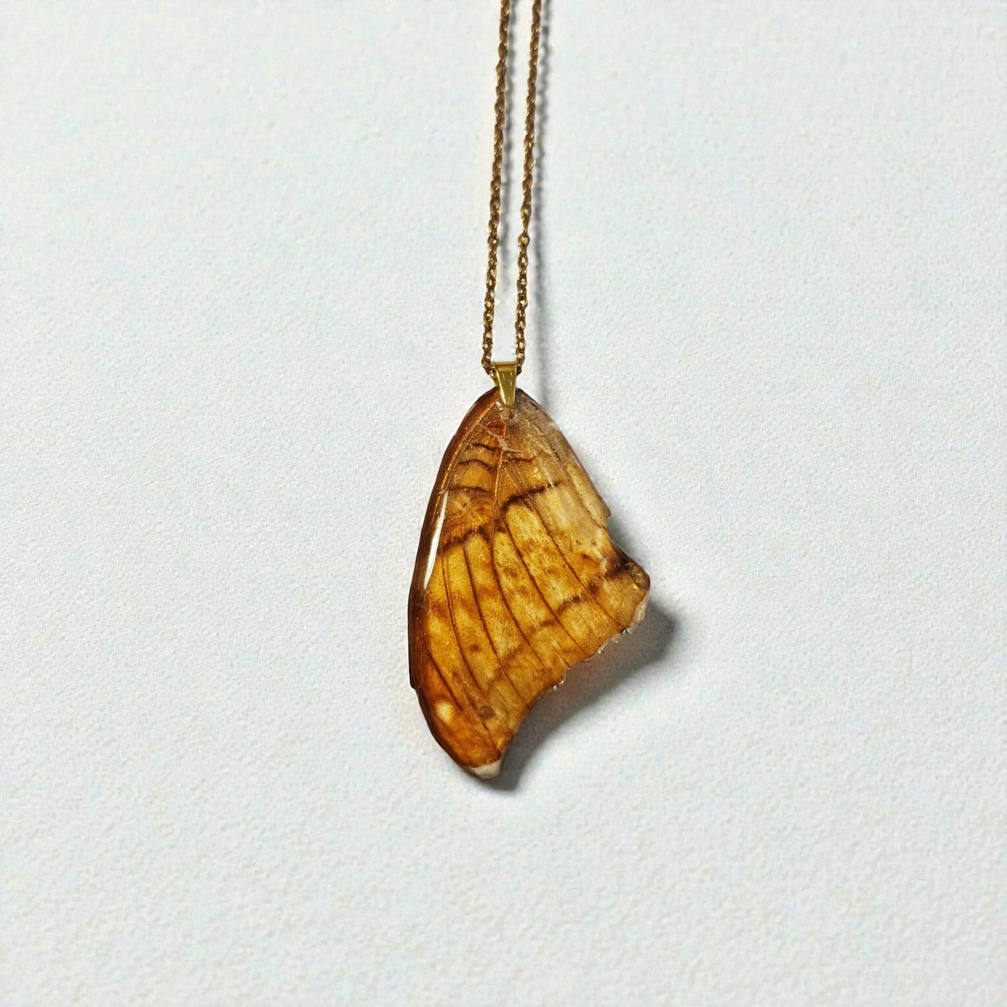 echter Vindula-Falter Flügel❤︎ Halskette