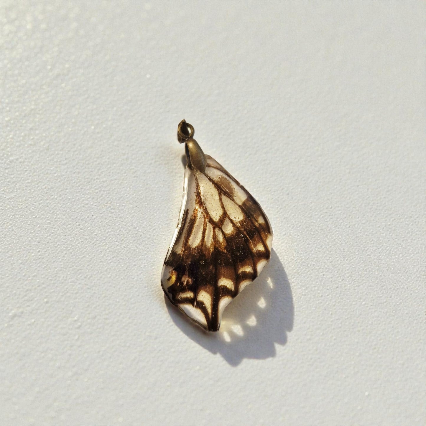 echter Schwalbenschwanz❤︎ Anhänger