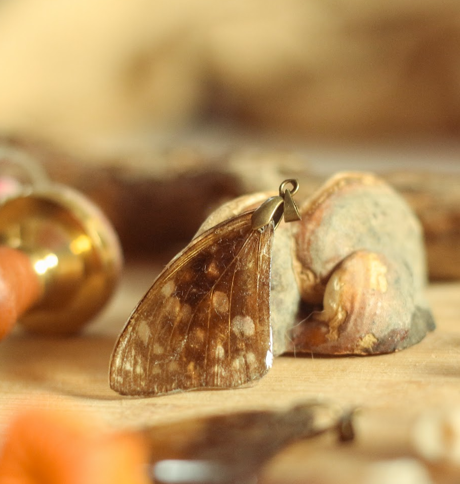 Schmetterlingsschmuck & Taxidermie