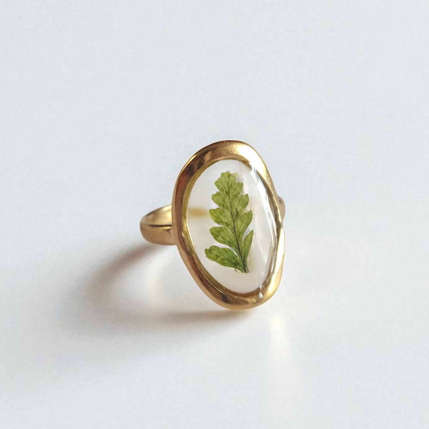 echtes Farn❤︎ Ring