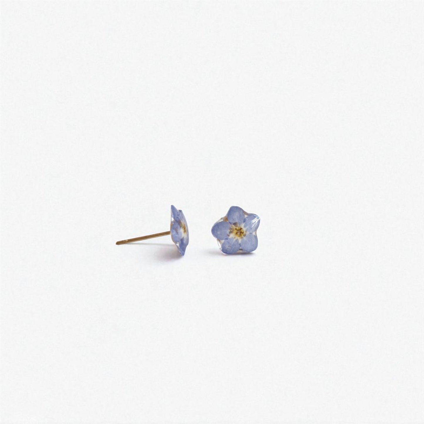 echte Vergiss-mein-nicht- Blüten ❤︎ Stecker Ohrringe