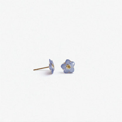 echte Vergiss-mein-nicht- Blüten ❤︎ Stecker Ohrringe