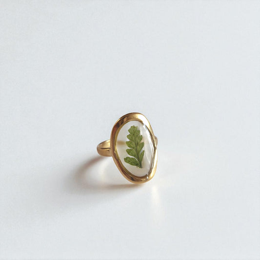 echtes Farn❤︎ Ring