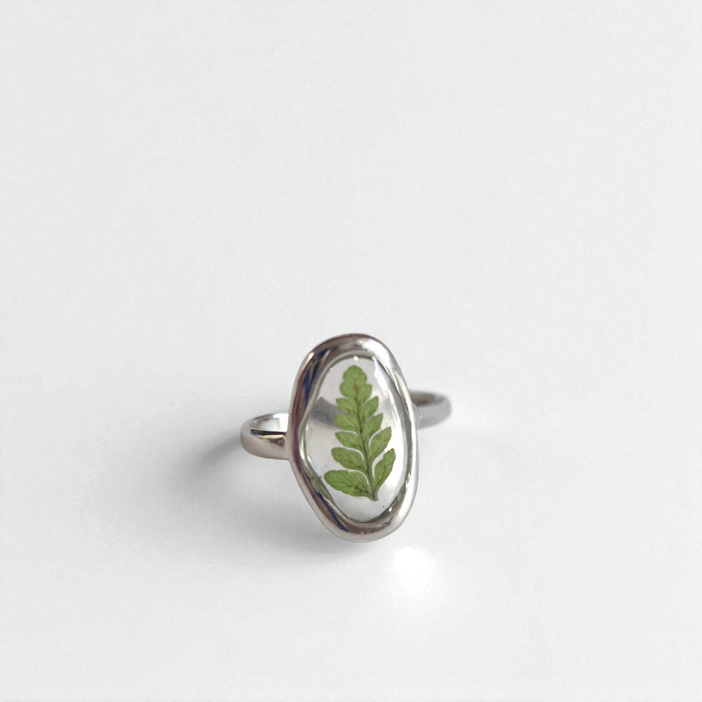 echtes Farn❤︎ Ring