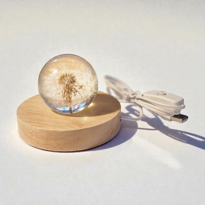 echtes Dandelion❤︎ Kugel mit Leuchtplattform 6cm