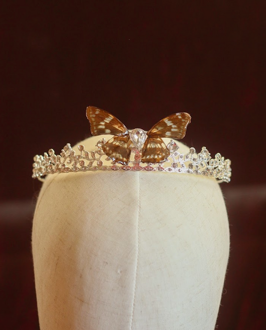 Echter Hestina Schmetterling ❤︎ Tiara