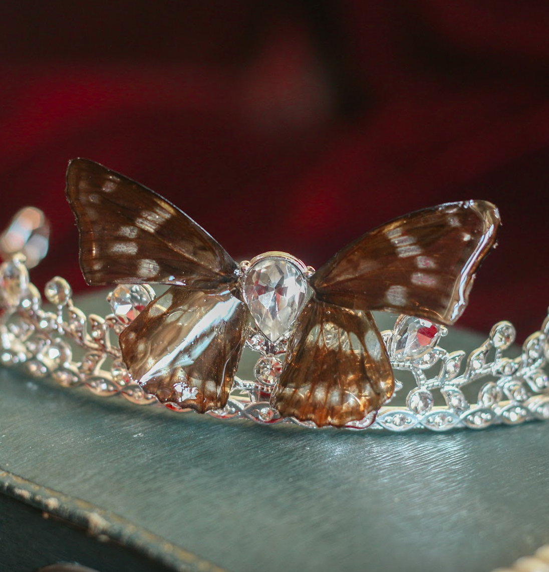 Echter Hestina Schmetterling ❤︎ Tiara