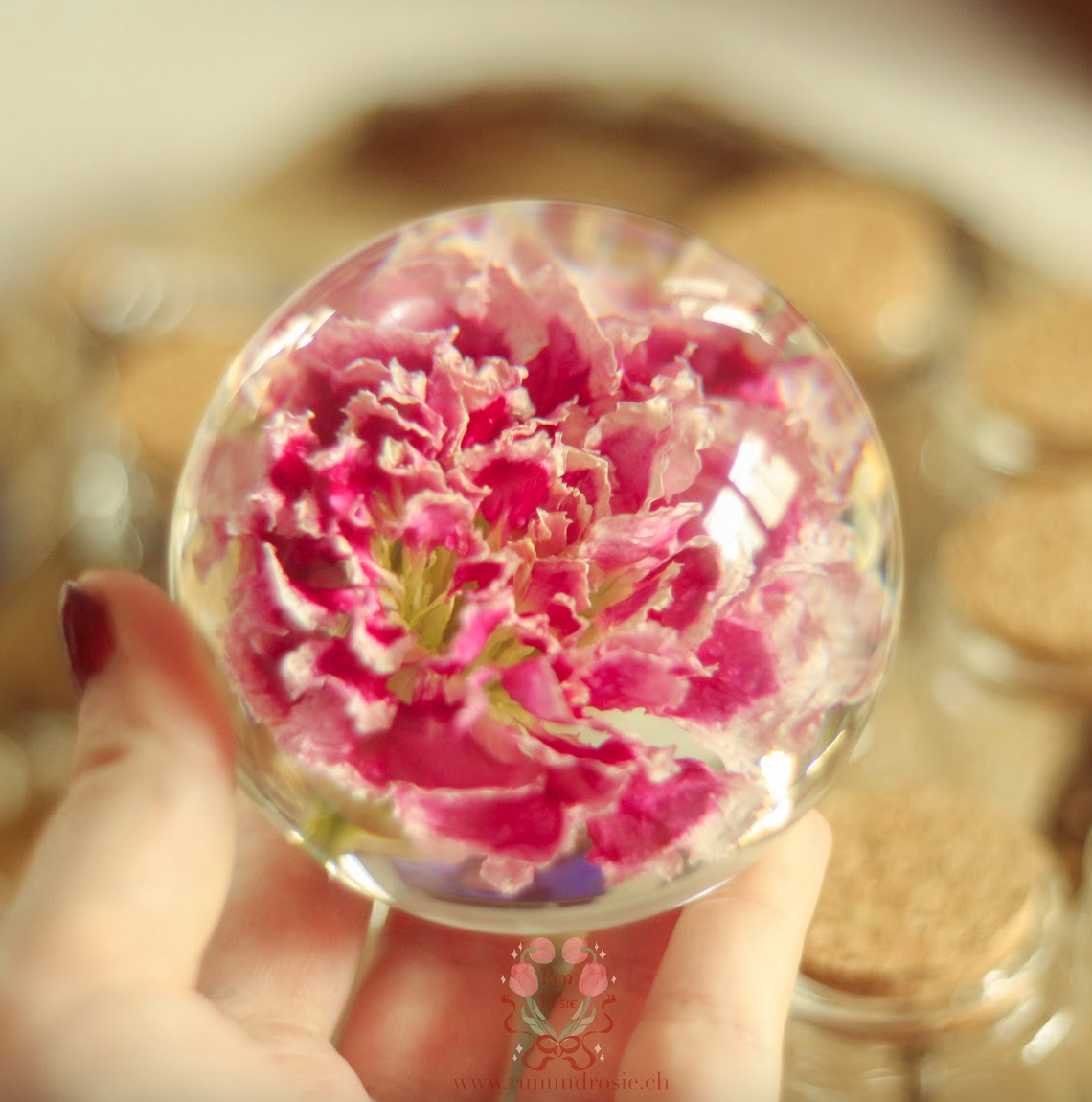 echte Nelke❤︎ Kugel mit Leuchtplattform 8cm