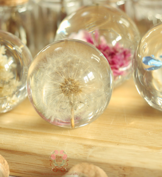 echtes Dandelion❤︎ Kugel mit Leuchtplattform 6cm