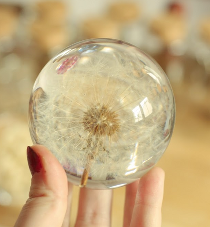 echtes Dandelion❤︎ Kugel mit Leuchtplattform 6cm