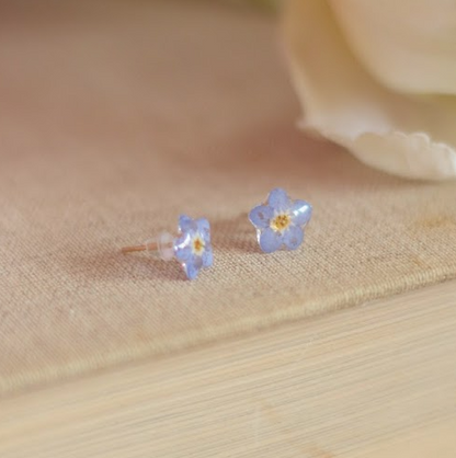 echte Vergiss-mein-nicht- Blüten ❤︎ Stecker Ohrringe