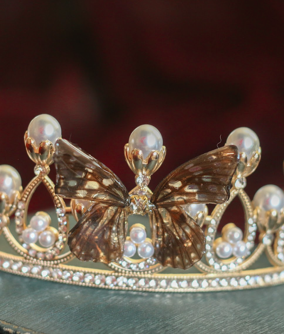 Echter Hestina Schmetterling ❤︎ Tiara
