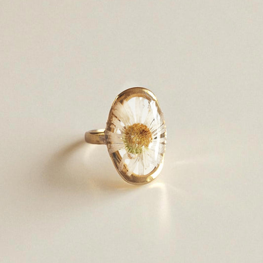 echtes Gänseblümchen❤︎ Ring