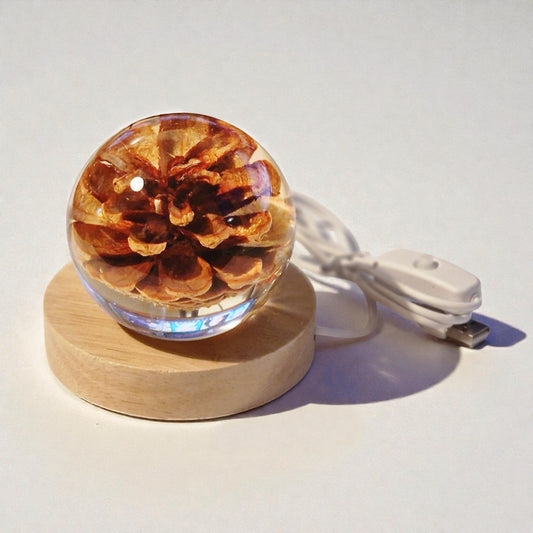 echter Tannenzapfen❤︎ Kugel mit Leuchtplattform 8cm