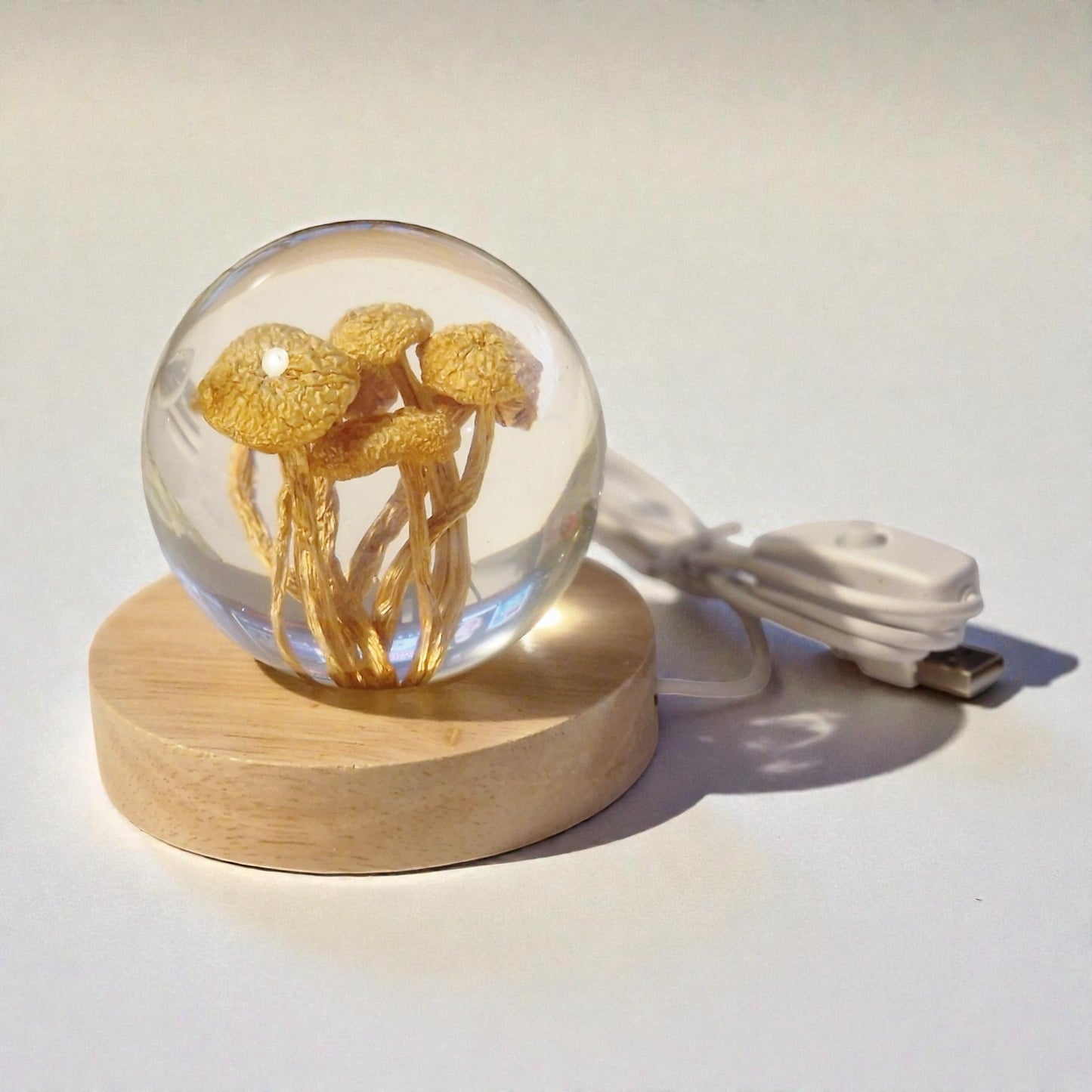 echte Pilze❤︎ Kugel mit Leuchtplattform 8cm