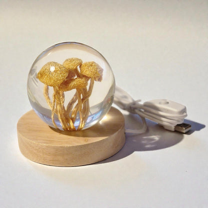 echte Pilze❤︎ Kugel mit Leuchtplattform 8cm