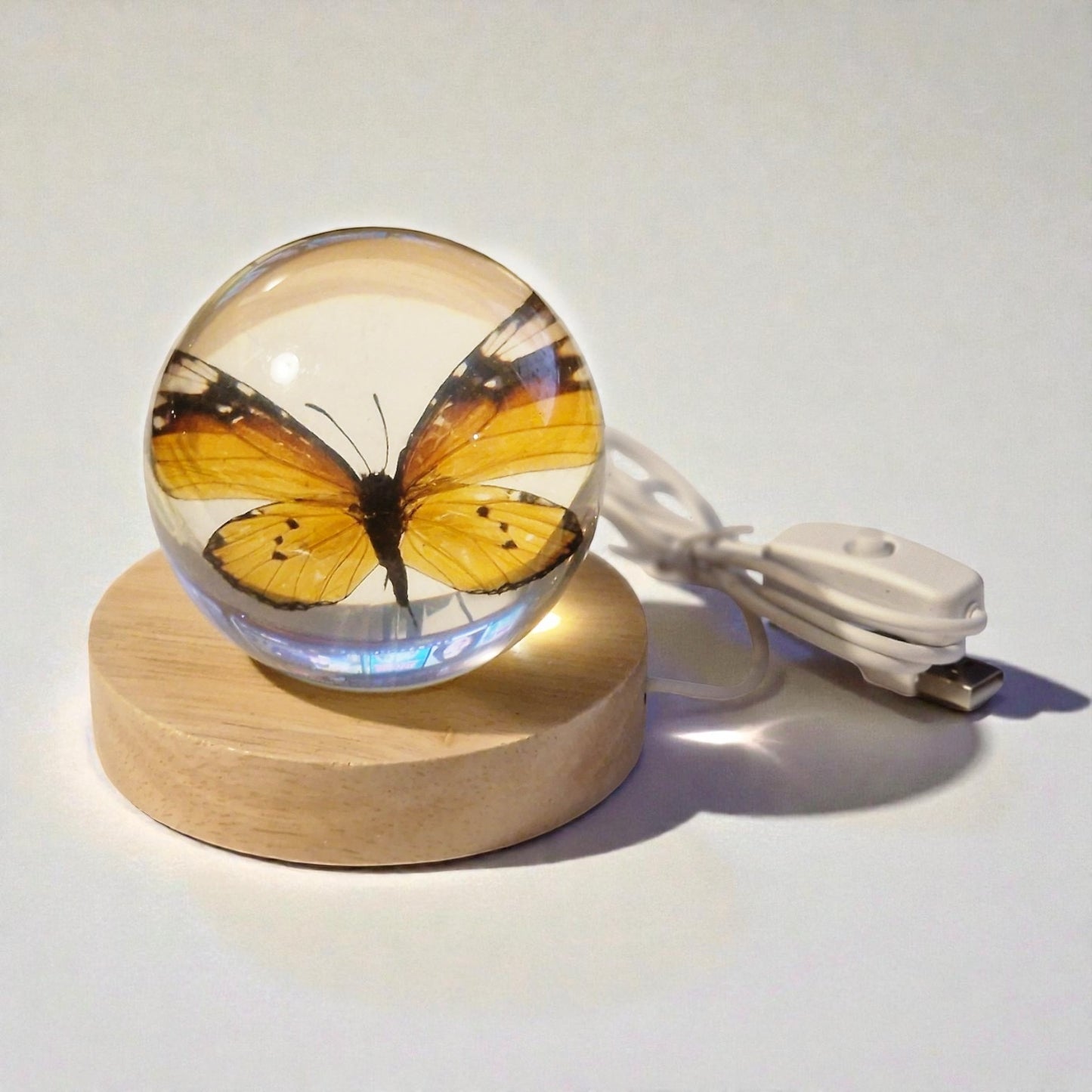 echter Monarchfalter❤︎ Kugel mit Leuchtplattform