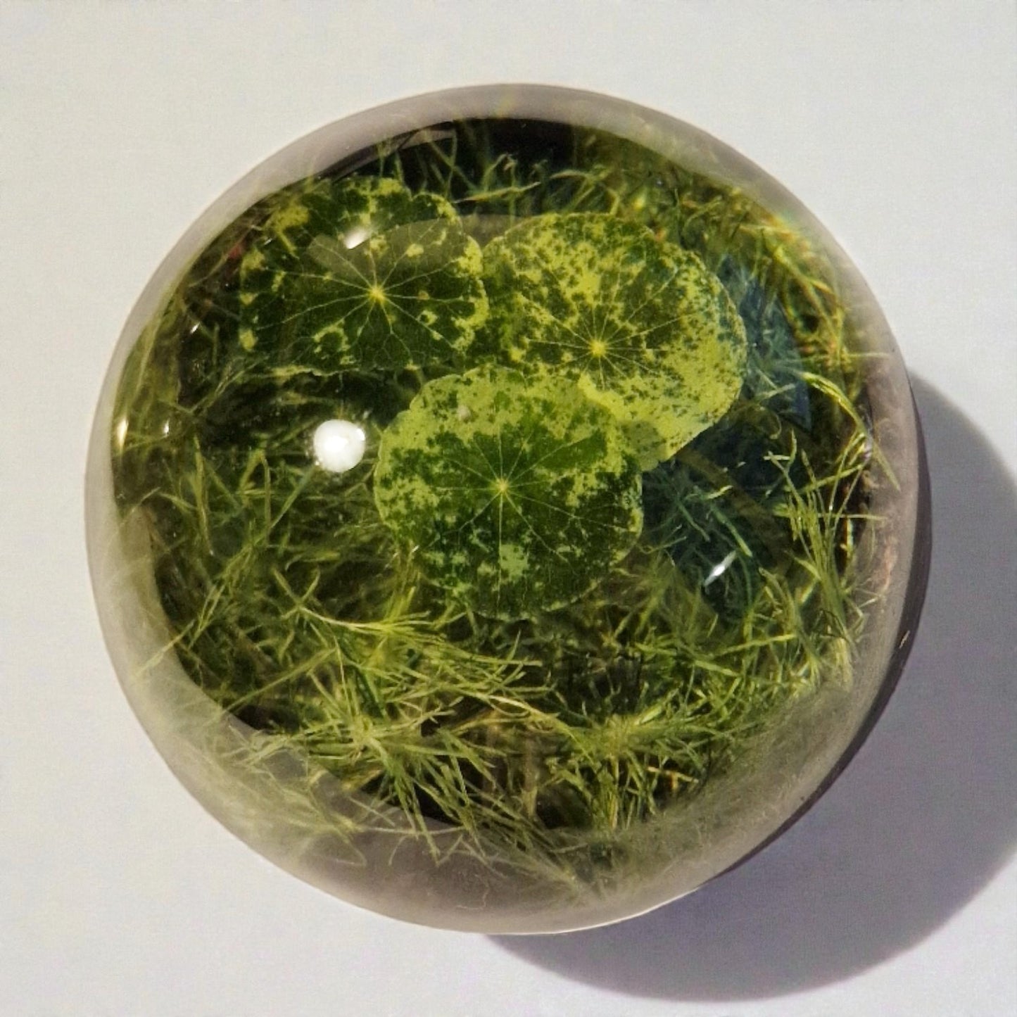 echte Wiese ❤︎ Kugel ohne Leuchtplattform