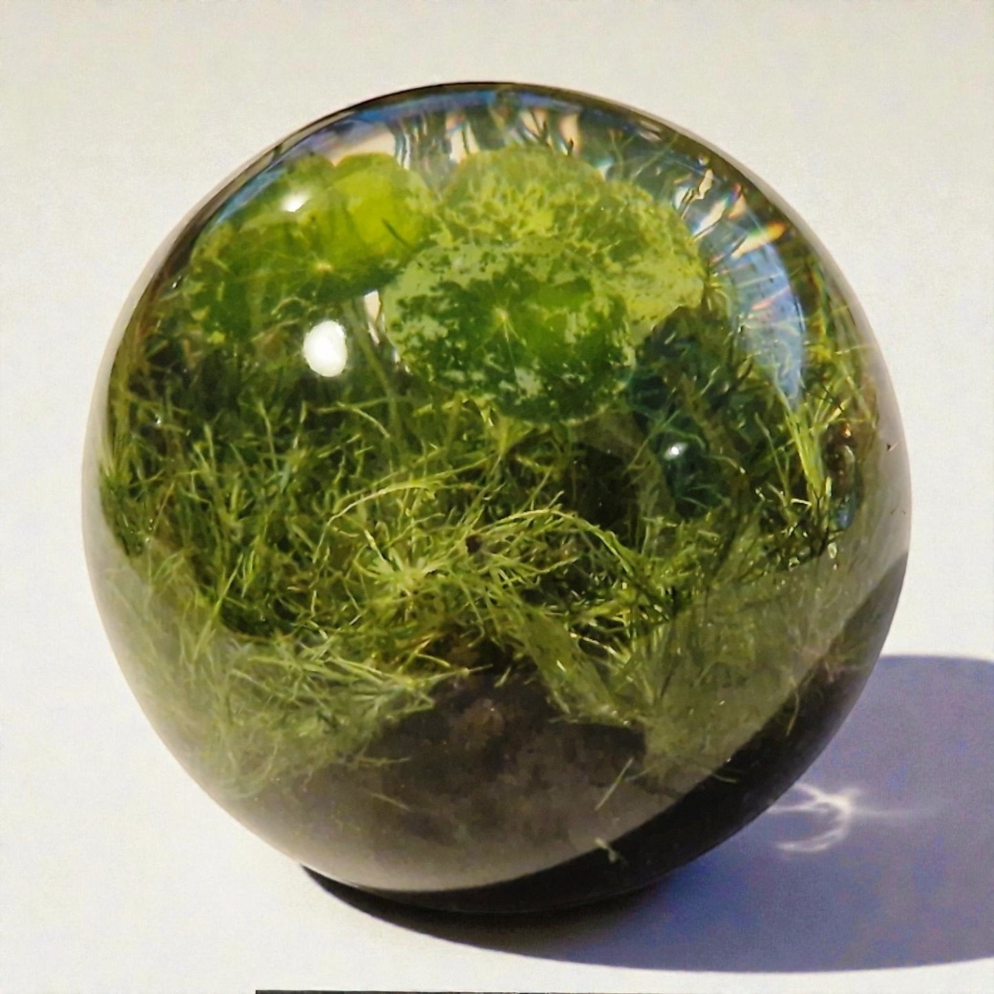 echte Wiese ❤︎ Kugel ohne Leuchtplattform