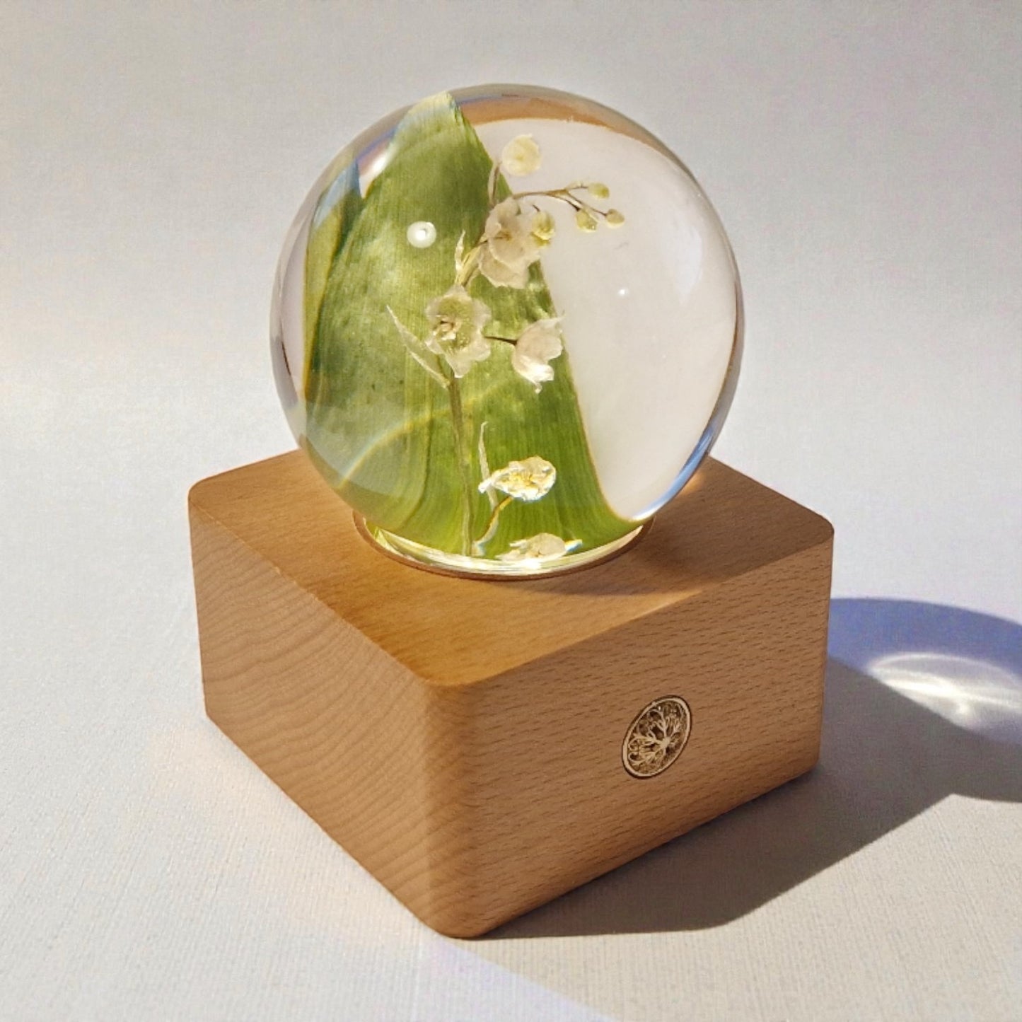 echte Maiglöckchen❤︎ Kugel mit dimmbarere Akku Leuchtplattform und Geschenkbox