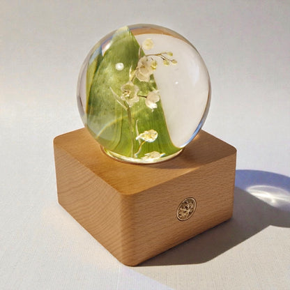 echte Maiglöckchen❤︎ Kugel mit dimmbarere Akku Leuchtplattform und Geschenkbox