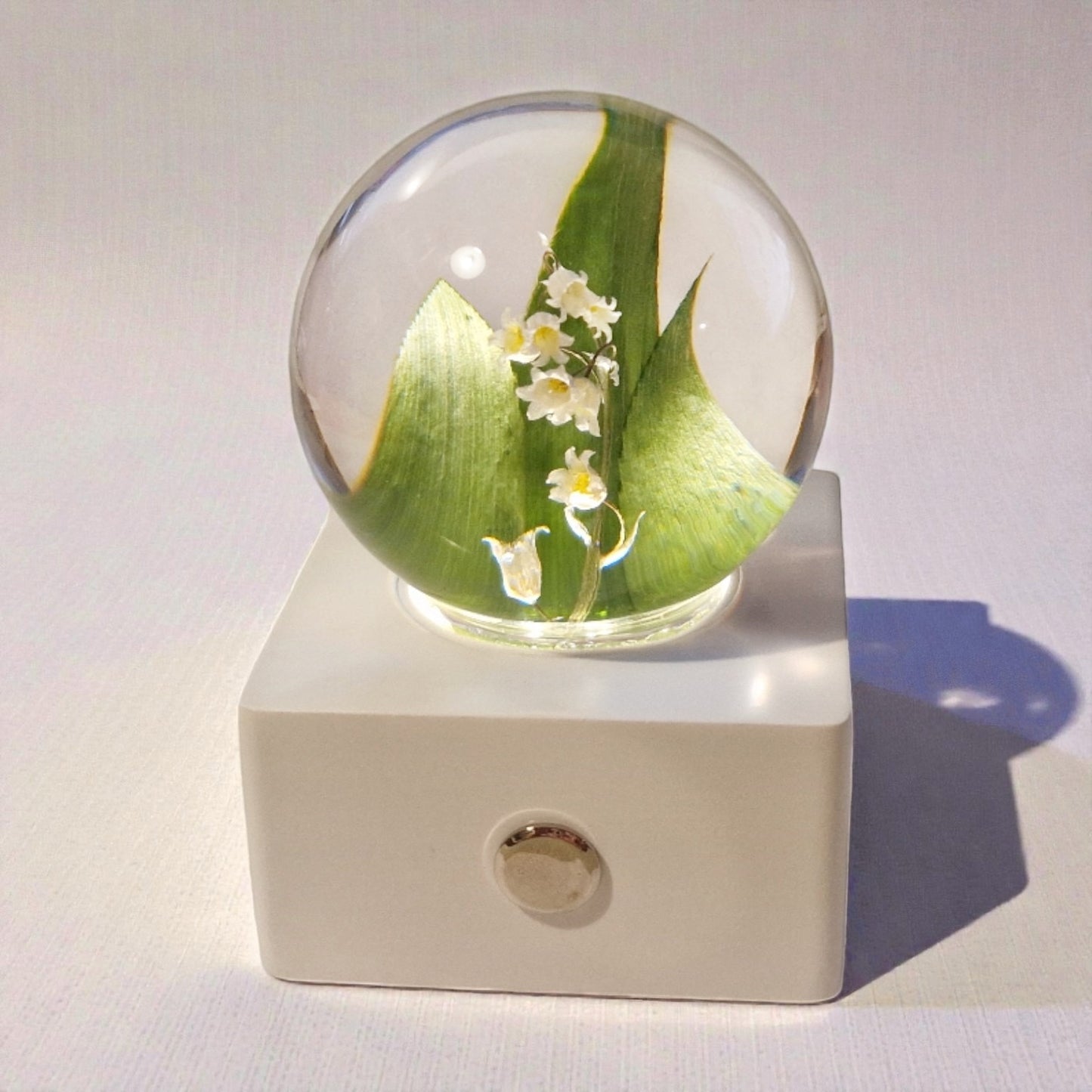 echte Maiglöckchen❤︎ Kugel mit dimmbarere Akku Leuchtplattform und Geschenkbox