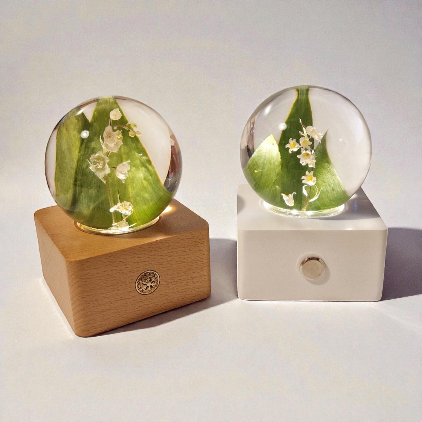 echte Maiglöckchen❤︎ Kugel mit dimmbarere Akku Leuchtplattform und Geschenkbox