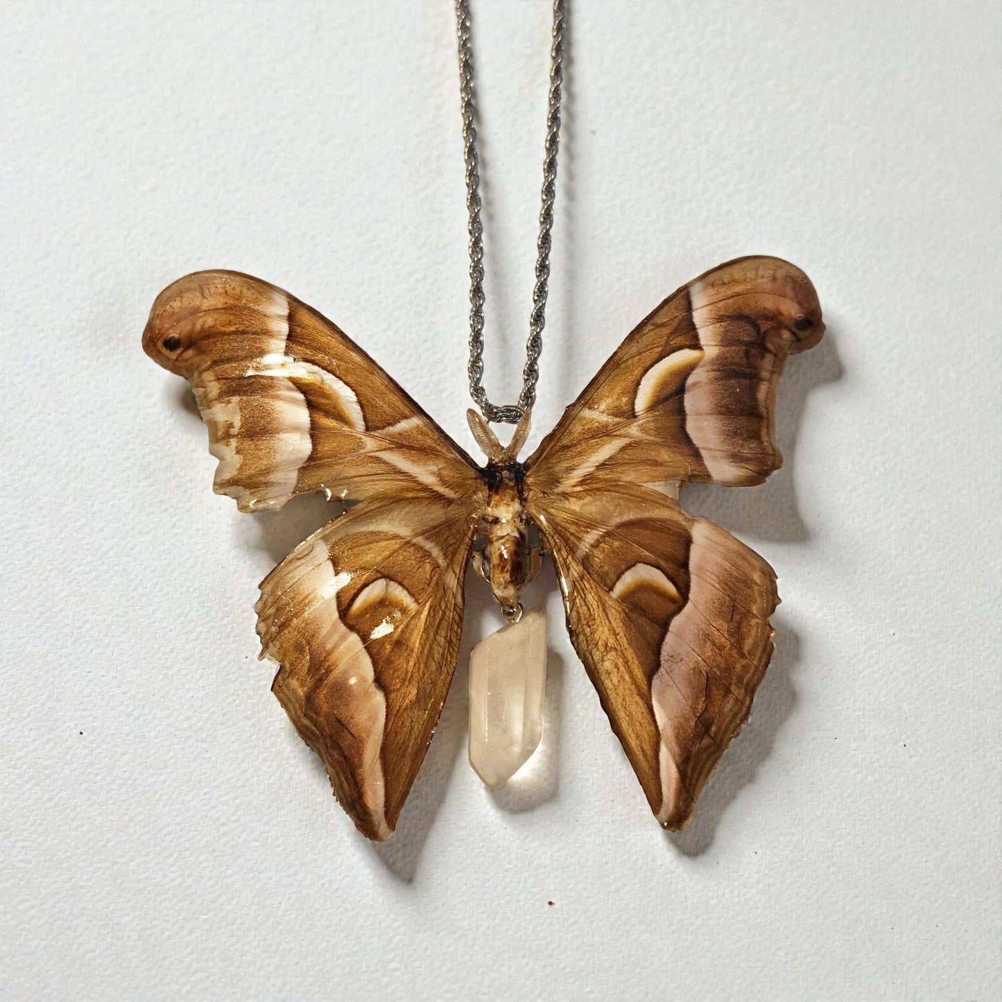 echte Atlasmotte (Samia luzonica) mit Bergkristall❤︎ Halskette