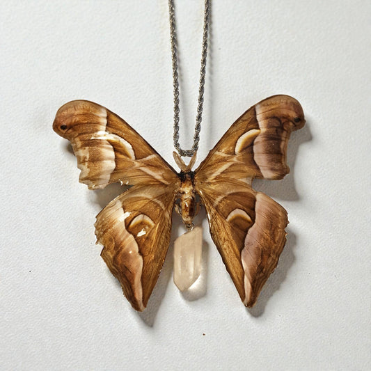 echte Atlasmotte (Samia luzonica) mit Bergkristall❤︎ Halskette