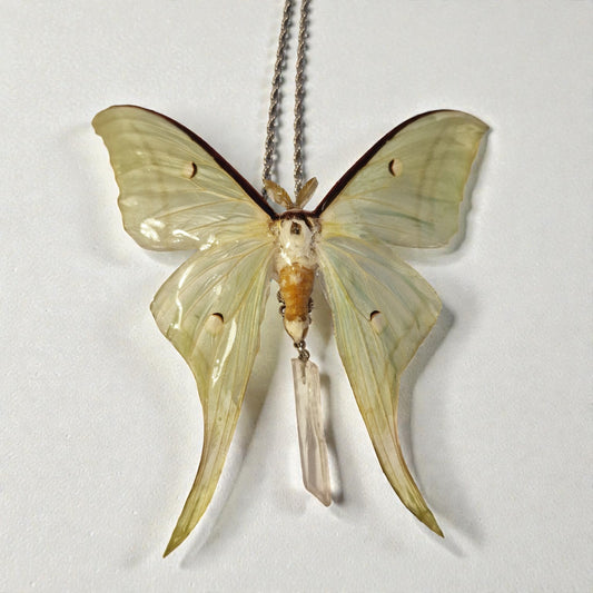 echte Lunarmotte mit Bergkristall❤︎ Halskette