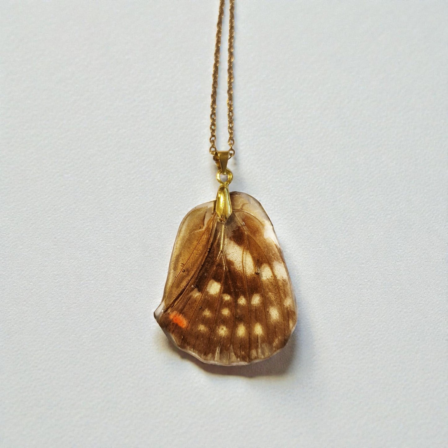 echter Schillerfalter-Flügel❤︎  Halskette