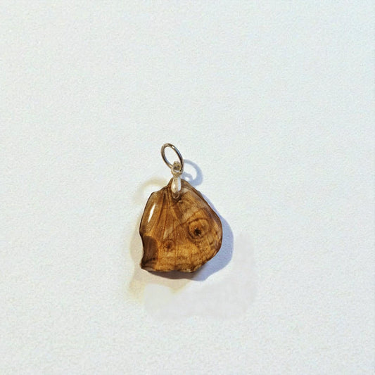 echter Tagpfauenauge-Flügel❤︎ Anhänger