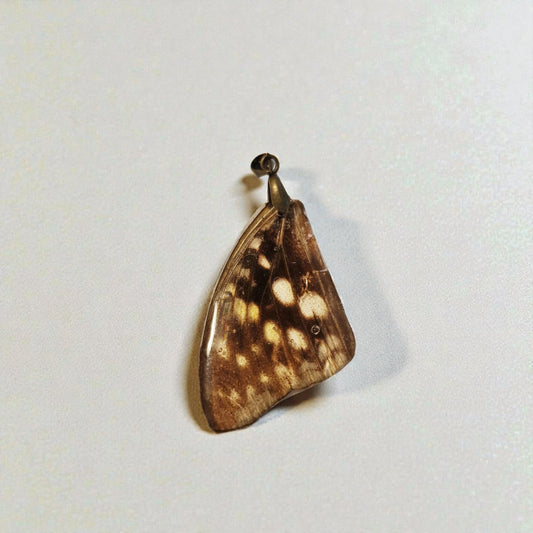 echter Hestinafalter-Flügel❤︎ Anhänger